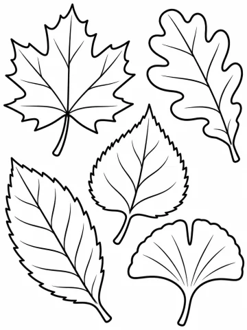 Cinco hojas grandes de árboles distintos, con sus nervios: una de arce, una de roble, una de abedul, una de castaño y una de ginkgo en forma de abanico