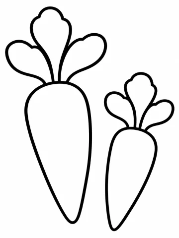 Dos zanahorias de contorno grueso, una grande a la izquierda y otra pequeña a la derecha, cada una con tres hojas redondeadas