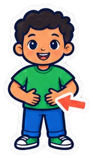 tummy: barriga en inglés (dibujo)