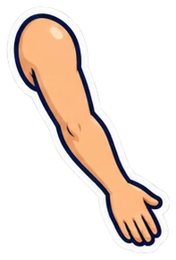 arm: brazo en inglés (dibujo)