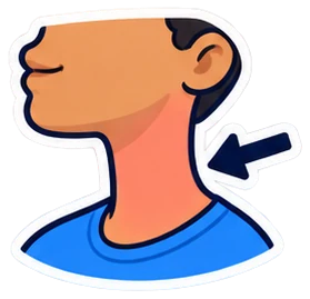 neck: cuello en inglés (dibujo)