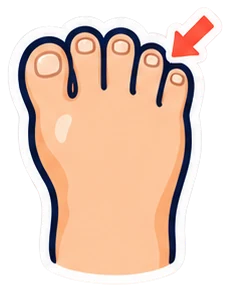 toe: dedo del pie en inglés (dibujo)