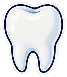 tooth: diente en inglés (dibujo)