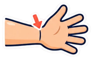 wrist: muñeca en inglés (dibujo)