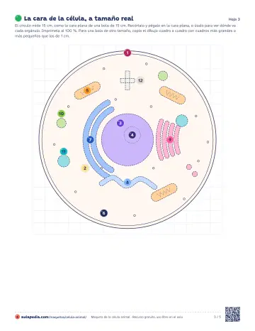 Hoja 3 del PDF: base con las piezas en su sitio