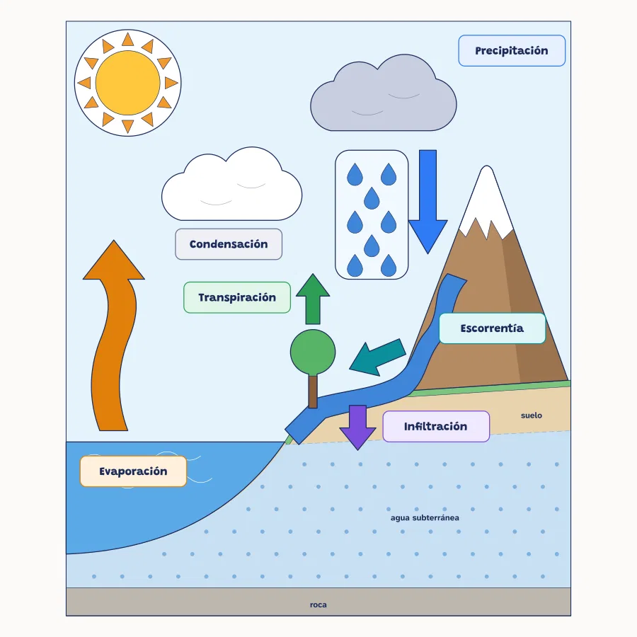 Maqueta del ciclo del agua ya montada: el Sol, una nube blanca y otra de lluvia, una montaña nevada con un río que baja hasta el mar, un árbol, flechas de colores y las etiquetas evaporación, transpiración, condensación, precipitación, escorrentía e infiltración