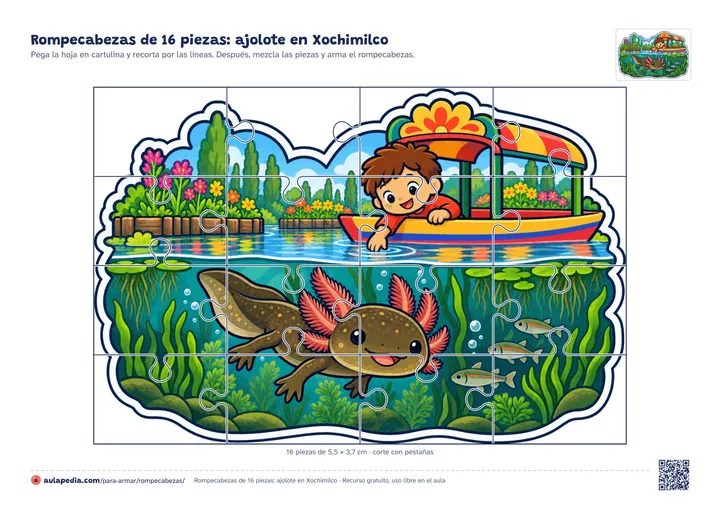 Rompecabezas de 16 piezas para imprimir: un ajolote que nada entre plantas y peces bajo una trajinera de colores, con un niño asomado, con las líneas de corte con pestañas