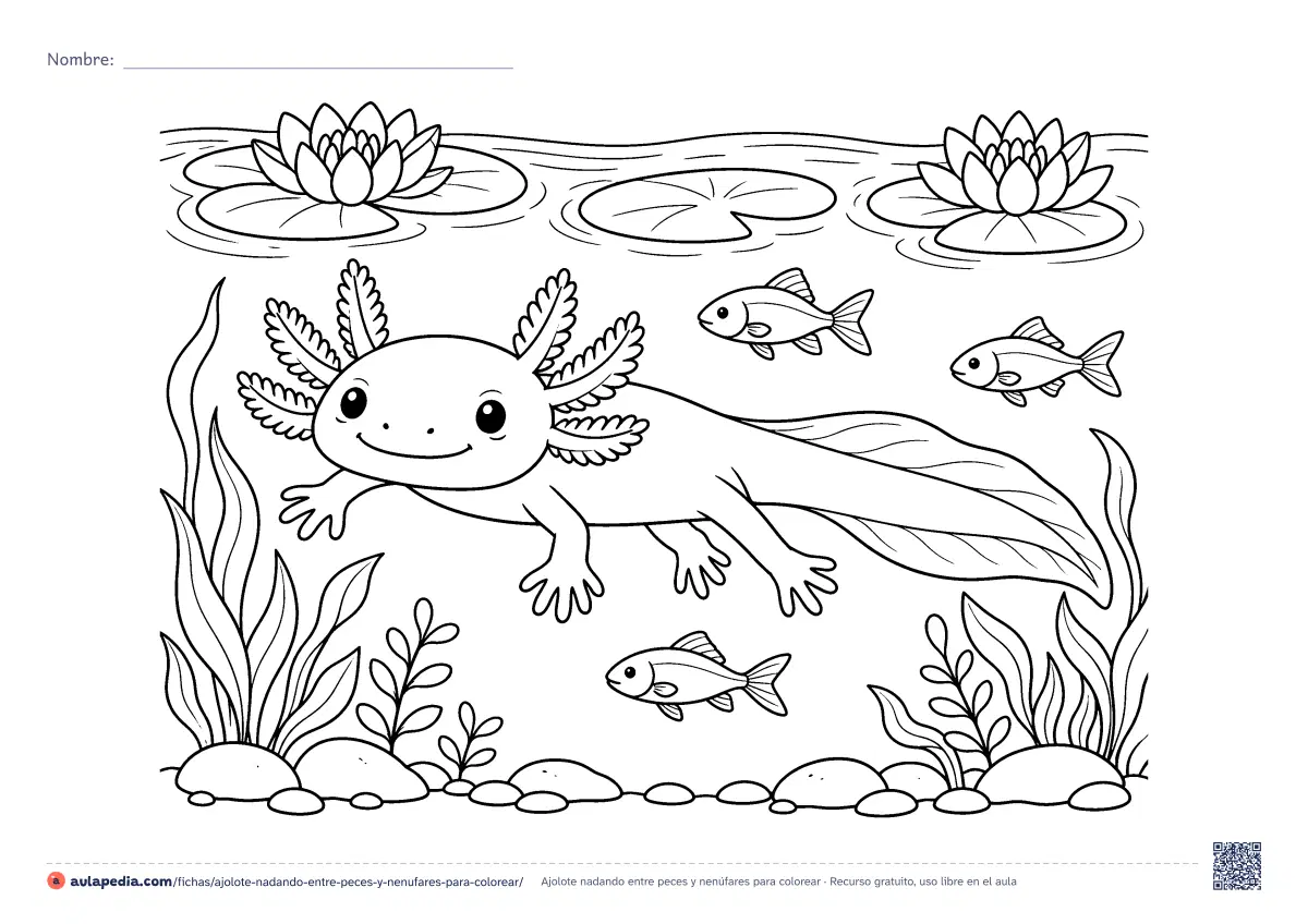 Primera página de la ficha «Ajolote nadando entre peces y nenúfares»: un ajolote nada en un canal entre tres peces y plantas acuáticas, bajo dos nenúfares en flor. Lámina apaisada para colorear e imprimir.