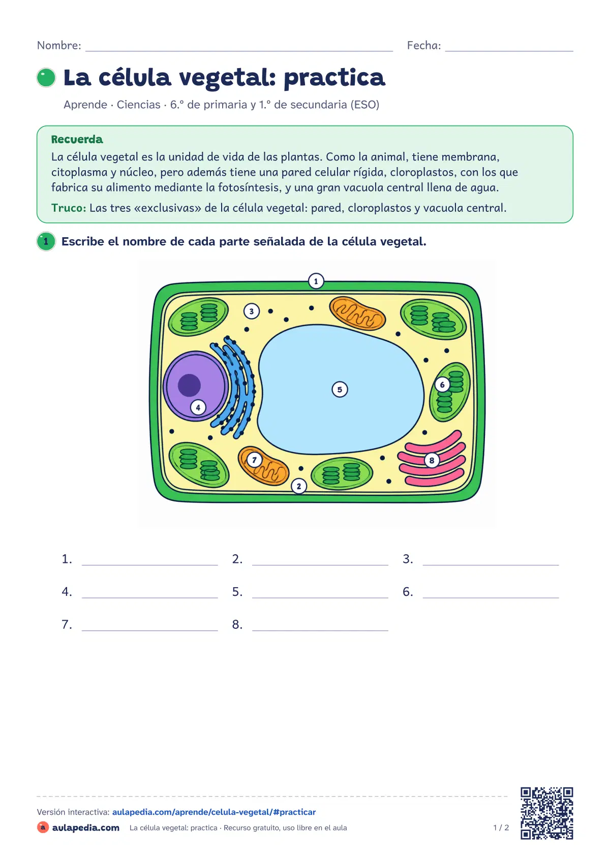 Primera página de la ficha «La célula vegetal: practica»: pared celular, cloroplastos, vacuola central y demás orgánulos con su función, y sus diferencias con la animal.