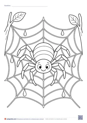 Vista previa de «Araña sonriente en su telaraña»