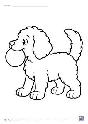 Vista previa de «Cachorro peludo con una pelota»