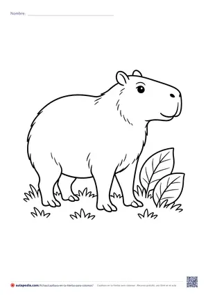 Vista previa de «Capibara en la hierba»