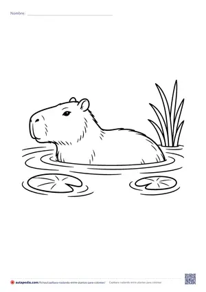 Vista previa de «Capibara nadando entre plantas»