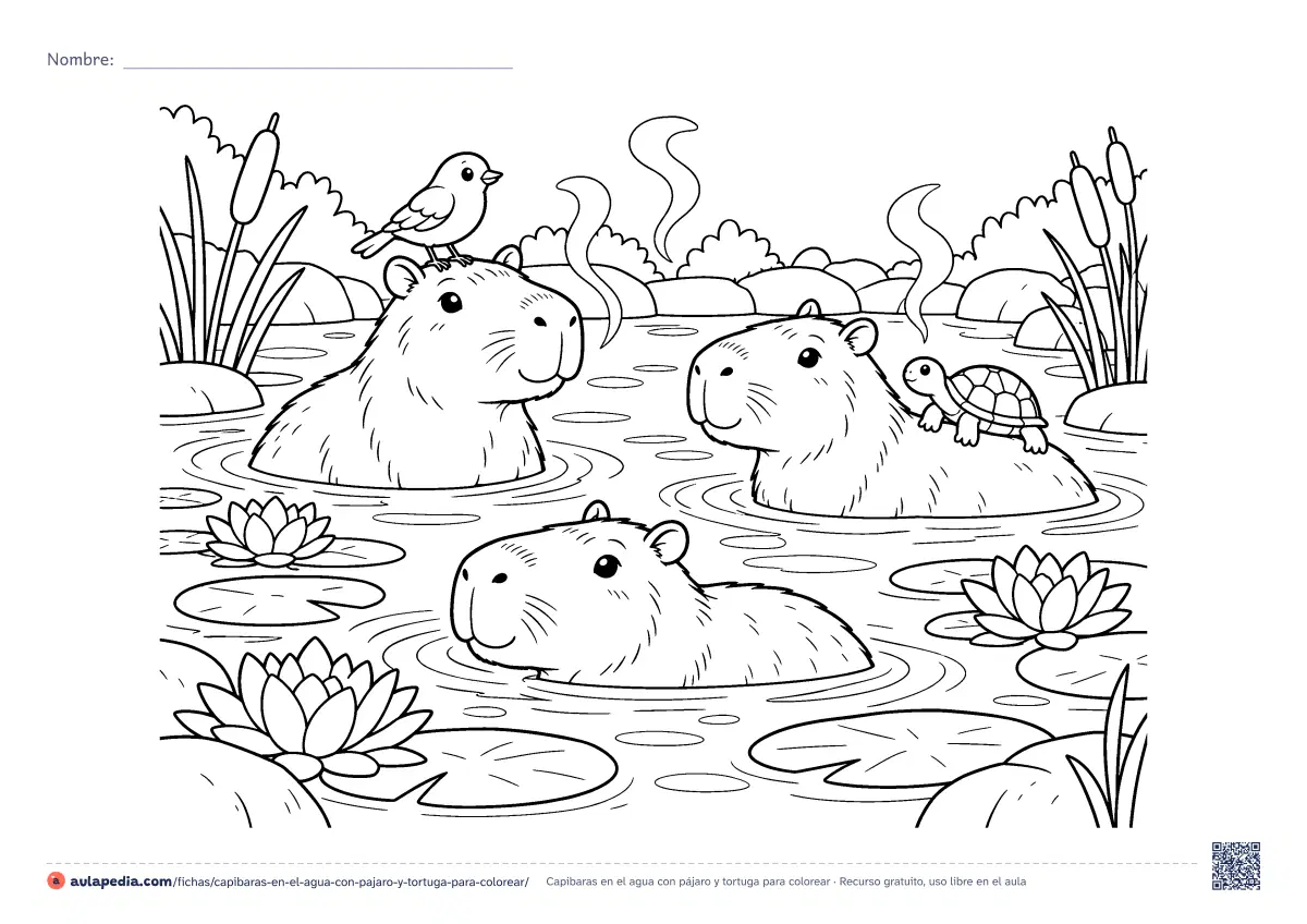 Primera página de la ficha «Capibaras en el agua con pájaro y tortuga»: tres capibaras en una laguna con nenúfares, un pájaro en la cabeza de una y una tortuga en el lomo de otra. Para colorear.