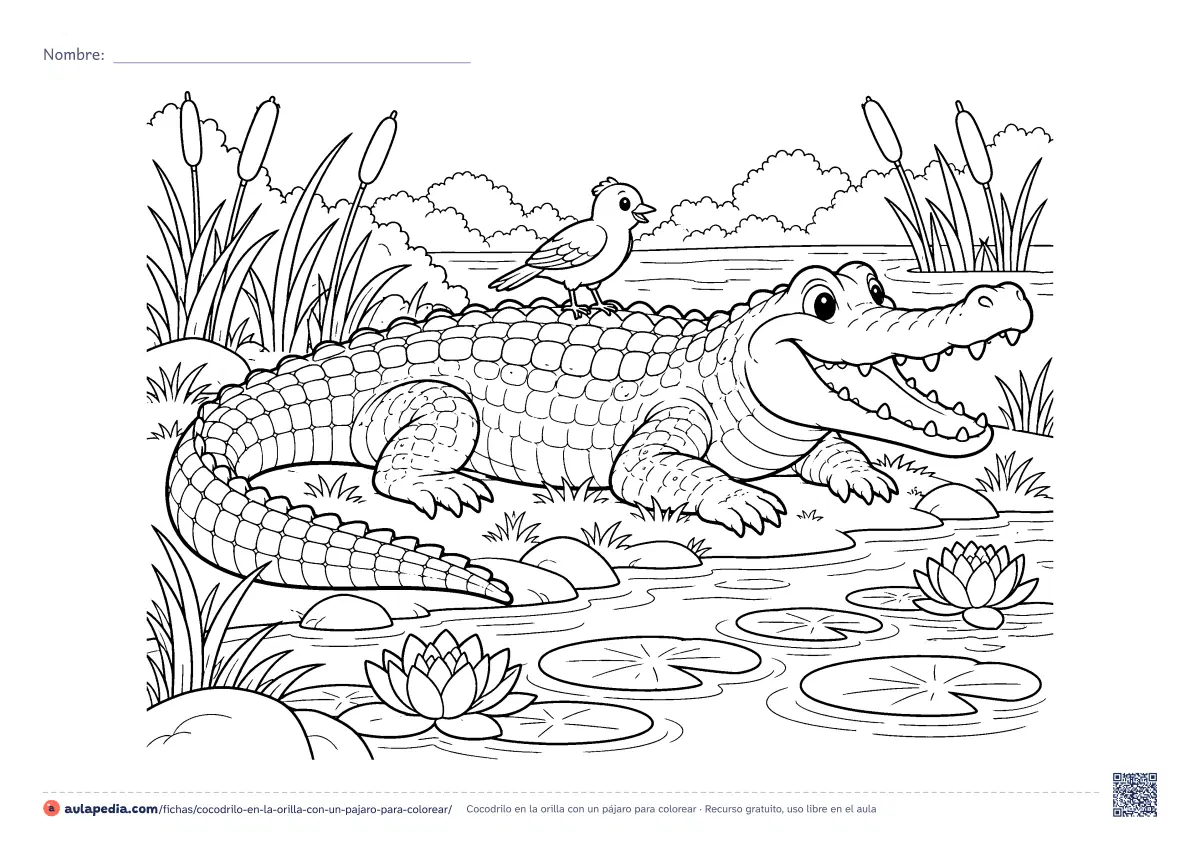 Primera página de la ficha «Cocodrilo en la orilla con un pájaro»: un cocodrilo sonriente descansa en la orilla con la boca abierta y un pájaro en el lomo, entre espadañas y nenúfares. Hoja apaisada para colorear.