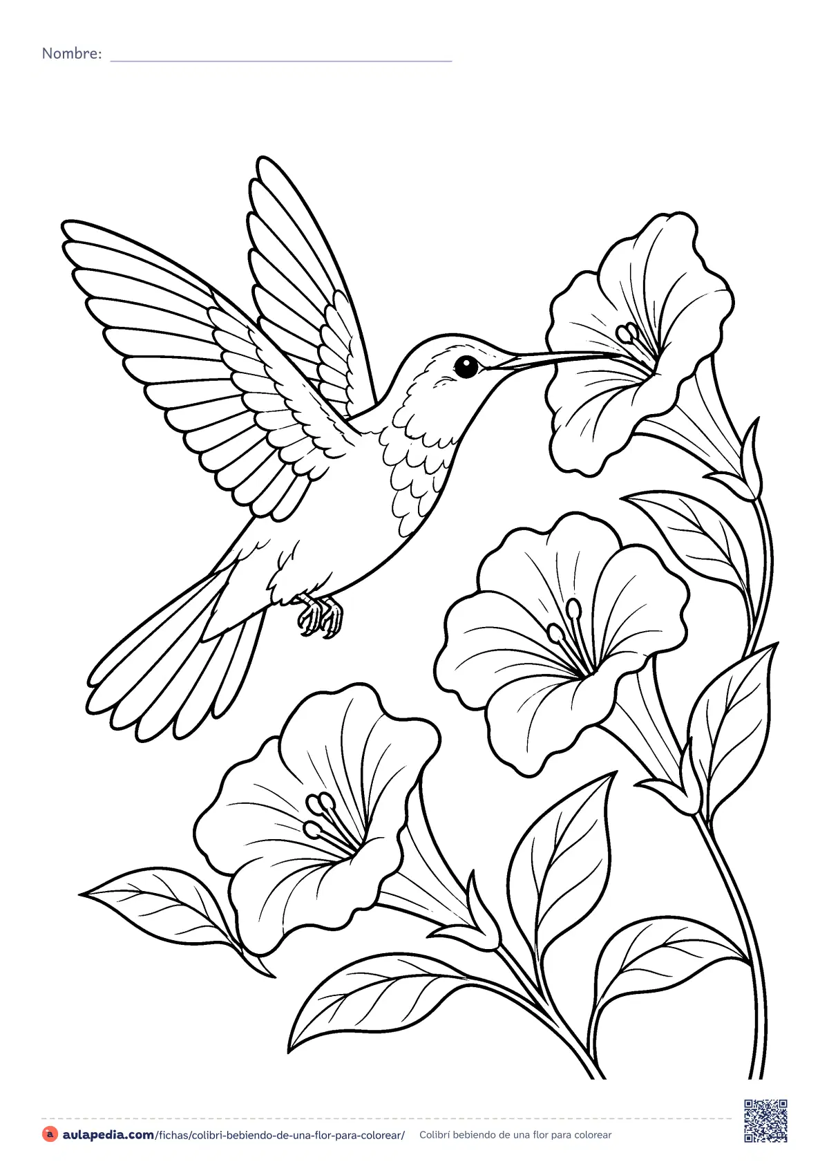 Primera página de la ficha «Colibrí bebiendo de una flor»: un colibrí (picaflor) bebe en pleno vuelo de una flor en forma de trompeta, con dos flores más y hojas. Dificultad media.
