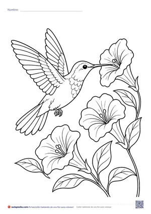Vista previa de «Colibrí bebiendo de una flor»