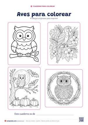 Portada del cuaderno «Aves para colorear», con cuatro de sus dibujos