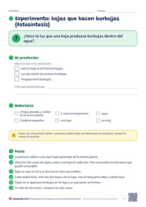 Primera hoja de la ficha «Hojas que hacen burbujas»