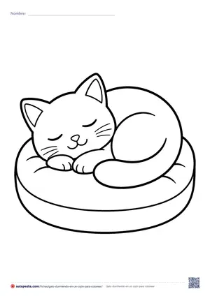 Vista previa de «Gato durmiendo en un cojín»