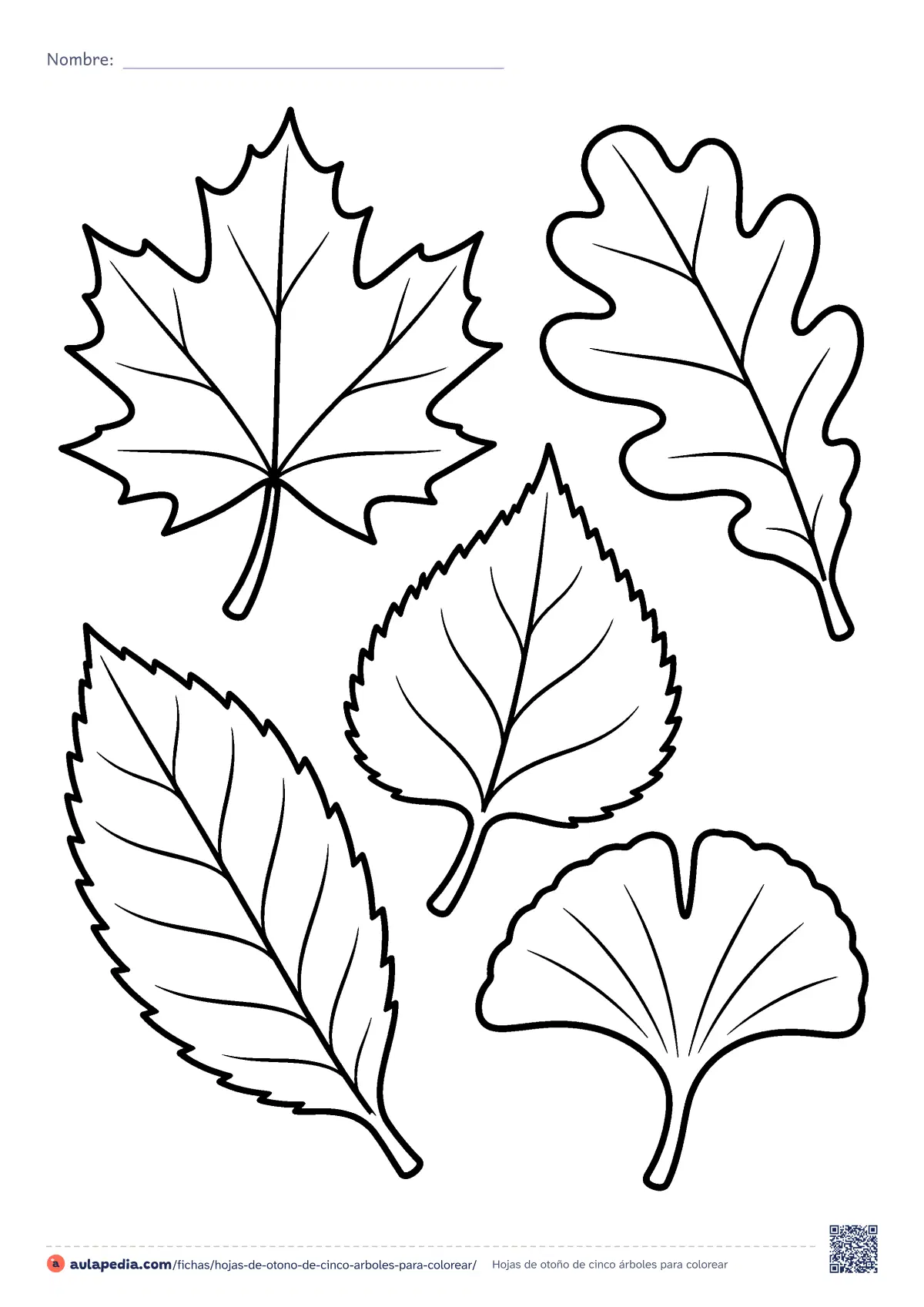 Primera página de la ficha «Hojas de otoño de cinco árboles»: arce, roble, abedul, castaño y ginkgo. Dibujo fácil para colorear y recortar.