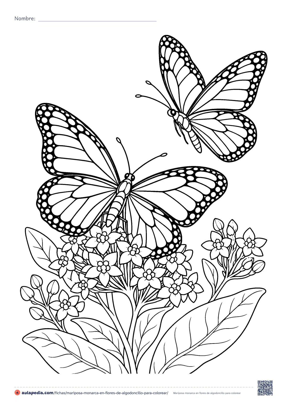 Primera página de la ficha «Mariposa monarca en flores de algodoncillo»: dos mariposas monarca, una posada en un racimo de flores de algodoncillo y otra en vuelo, con los nervios y el borde de puntos de sus alas.