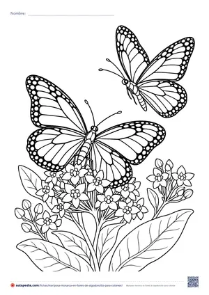 Vista previa de «Mariposa monarca en flores de algodoncillo»