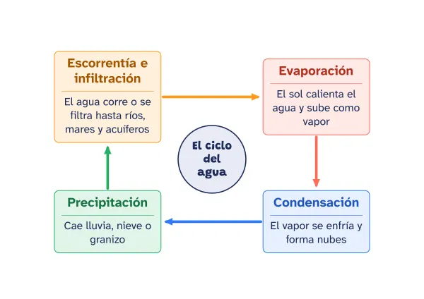 Ejemplo de mapa cognitivo de ciclos hecho con el editor