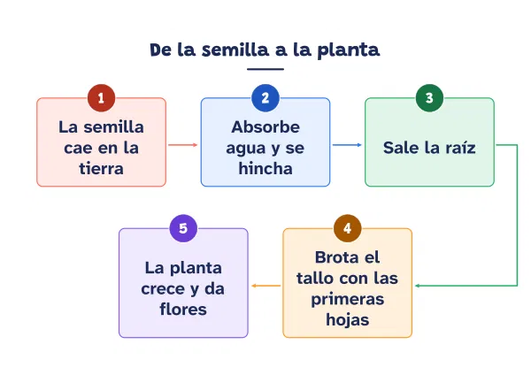 Ejemplo de mapa cognitivo de secuencia hecho con el editor