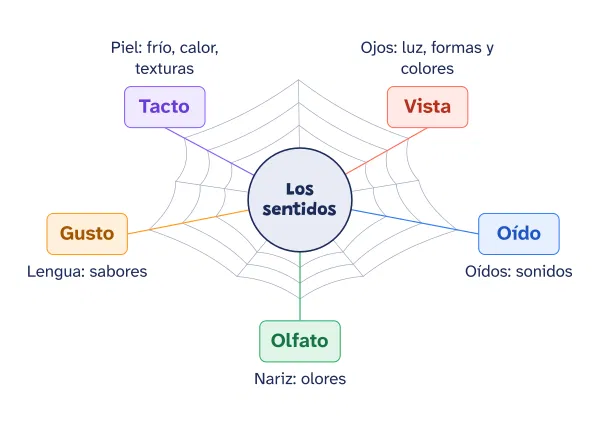 Ejemplo de mapa cognitivo de telaraña hecho con el editor