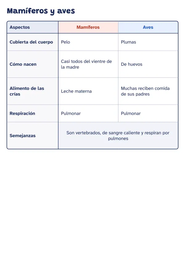 Ejemplo de cuadro comparativo