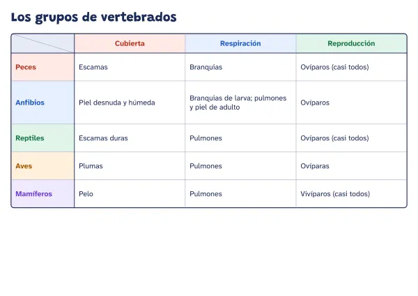 Ejemplo de cuadro de doble entrada