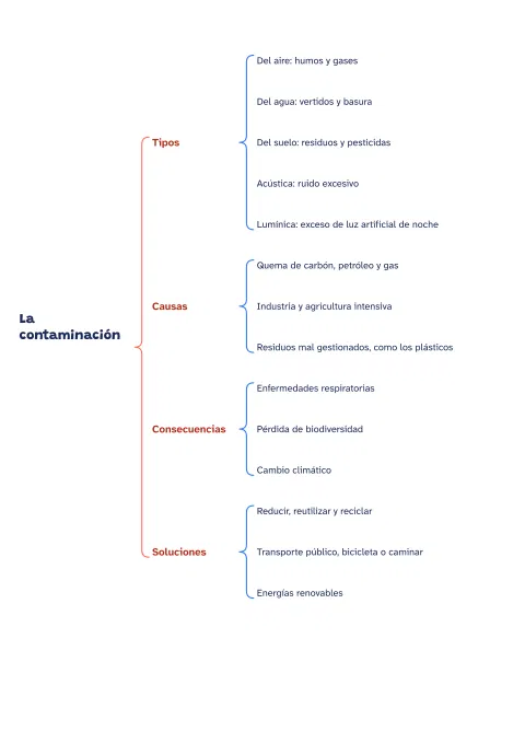 Cuadro sinóptico de la contaminación: tipos y causas: vista previa