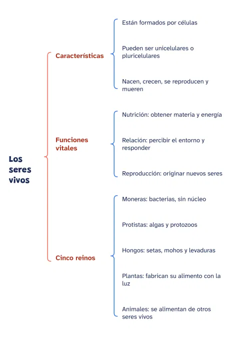 Cuadro sinóptico de los seres vivos y los cinco reinos: vista previa