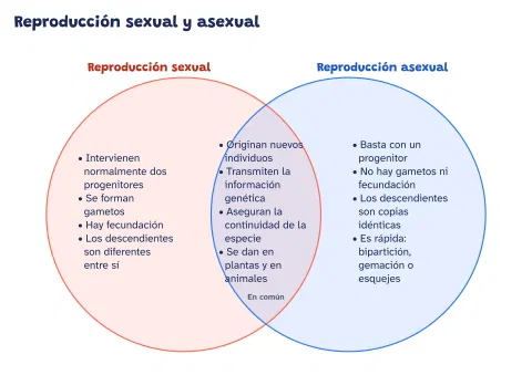 Diagrama de Venn de la reproducción sexual y asexual: vista previa