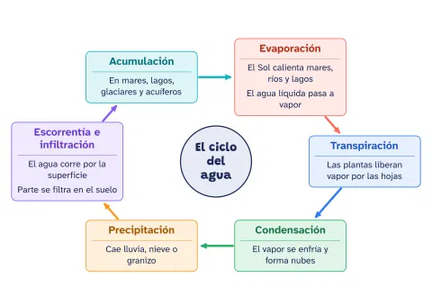 Mapa cognitivo del ciclo del agua: vista previa