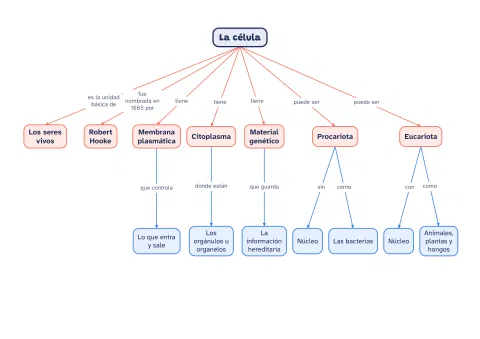 Mapa conceptual de la célula: partes y tipos: vista previa