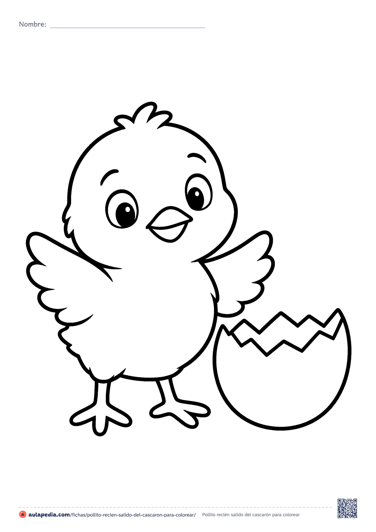 Primera página de la ficha «Pollito recién salido del cascarón»: un pollito con las alas abiertas junto al cascarón del que acaba de salir. De los dibujos más fáciles de la granja, para Infantil;.