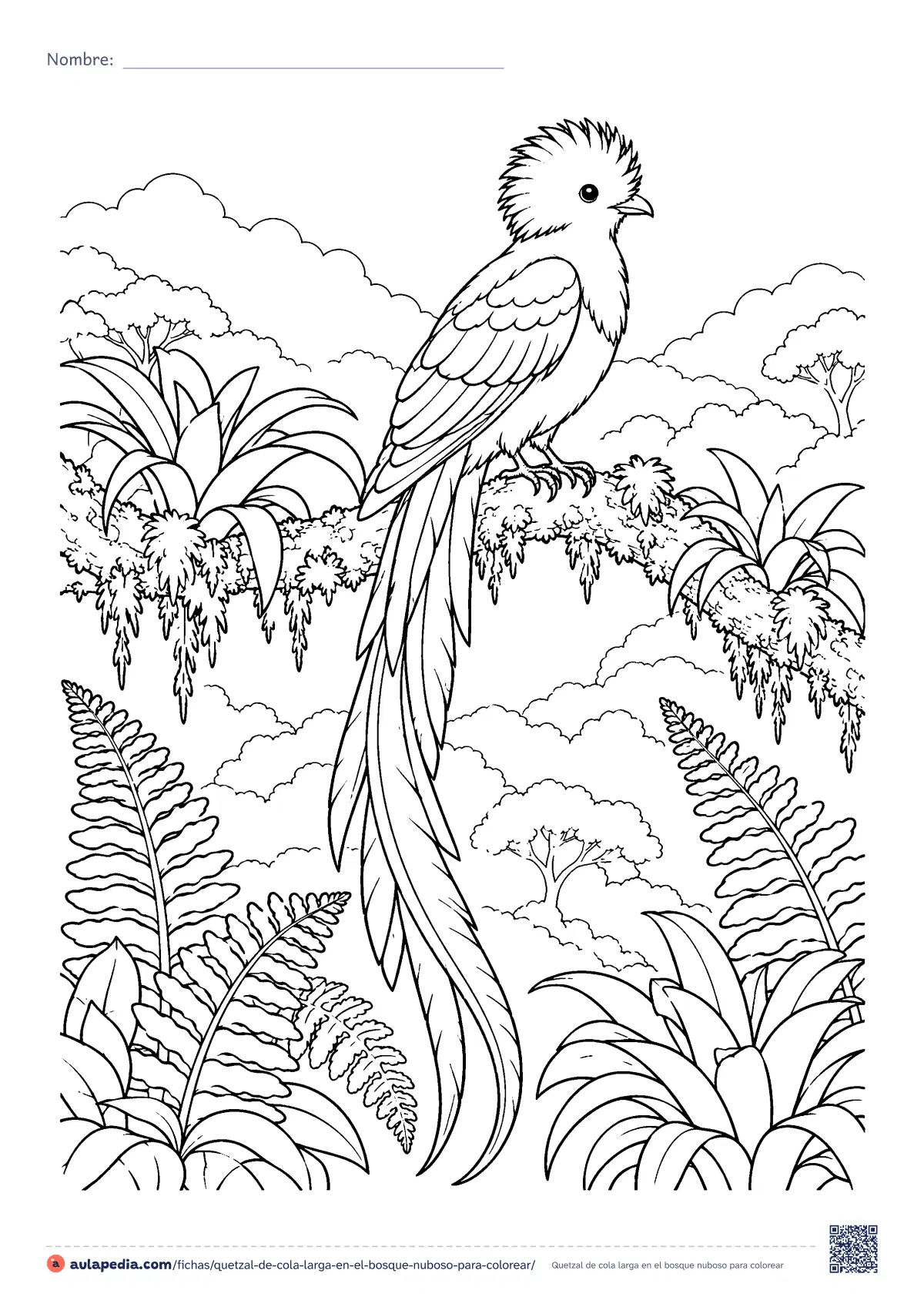 Primera página de la ficha «Quetzal de cola larga en el bosque nuboso»: un quetzal de cresta redonda y cola larguísima, posado en una rama con musgo entre helechos y bromelias. Dificultad media.