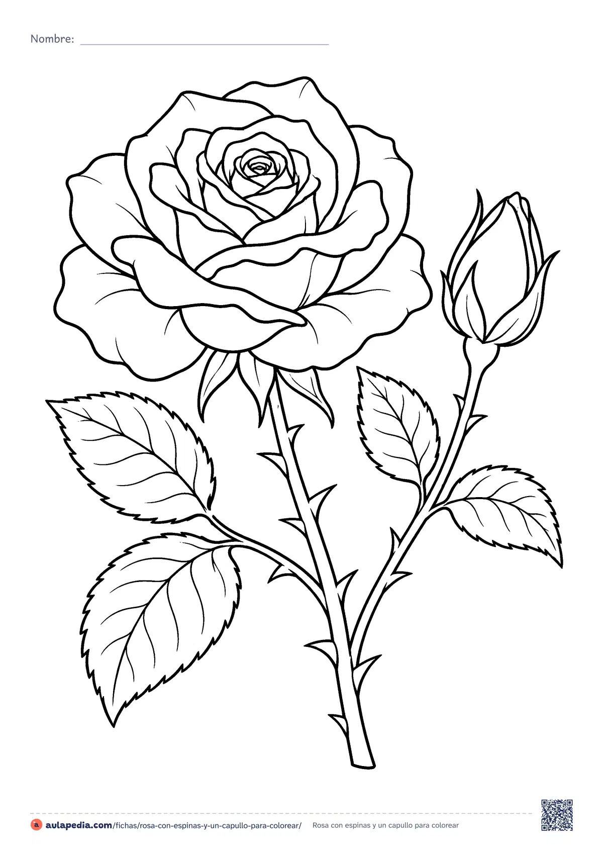 Primera página de la ficha «Rosa con espinas y un capullo»: una rosa abierta con sus pétalos en capas, un capullo, hojas dentadas y un tallo con espinas. Dibujo de dificultad media.