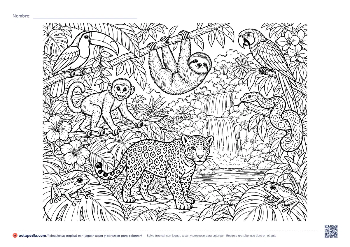 Primera página de la ficha «Selva tropical con jaguar, tucán y perezoso»: jaguar, mono, perezoso, tucán, guacamayo, serpiente y dos ranas, entre hojas gigantes. Dibujo detallado.