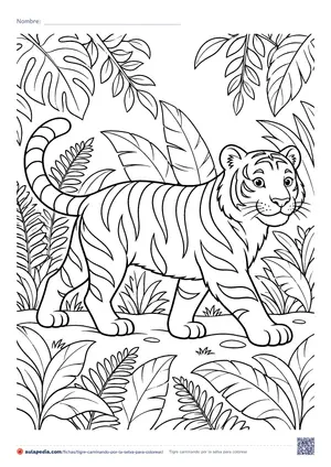 Vista previa de «Tigre caminando por la selva»