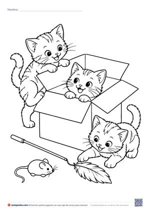 Vista previa de «Tres gatitos jugando con una caja de cartón»