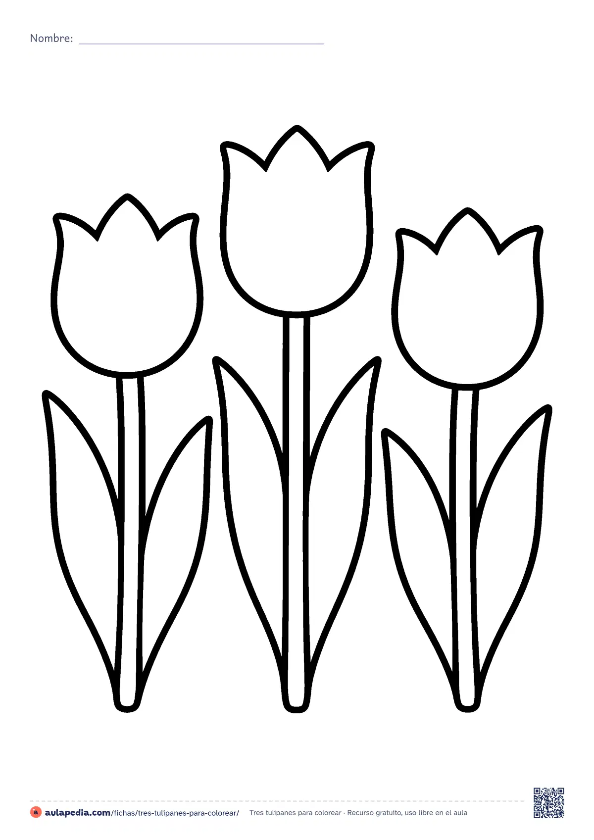 Primera página de la ficha «Tres tulipanes»: tres tulipanes con sus tallos y hojas largas. Dibujo fácil de contorno grueso para colorear e imprimir.
