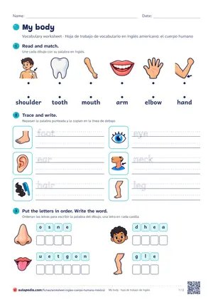 Vista previa de «My body worksheet (México)»