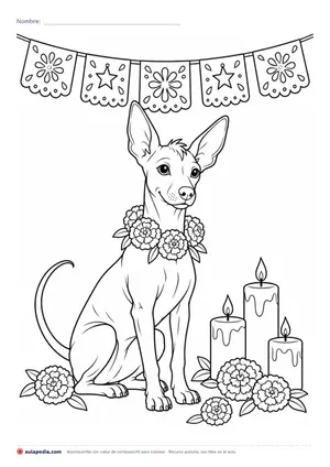 Vista previa de «Xoloitzcuintle con collar de cempasúchil»
